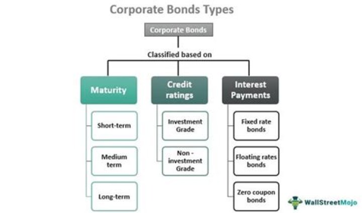 Are corporate bonds capital market securities?