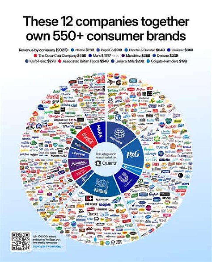 Can a company be owned by an individual?