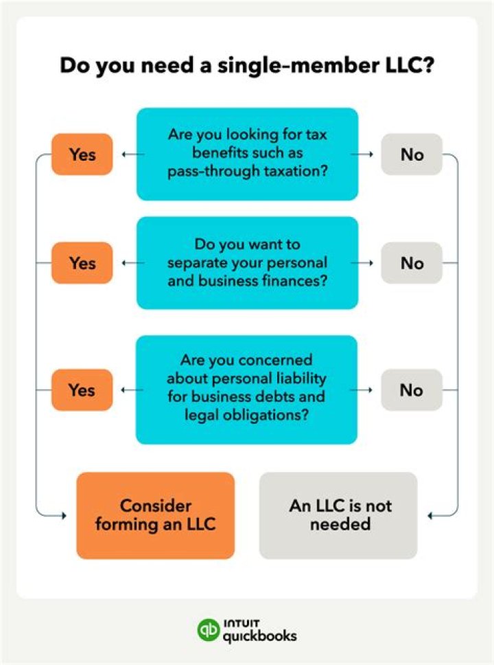 Can a single member LLC issue stock?