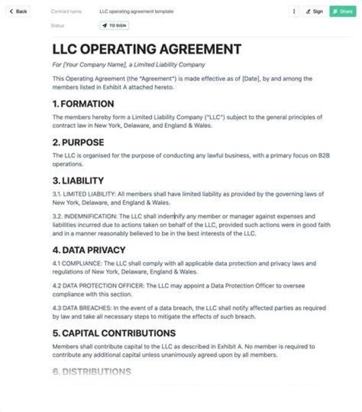 Can an LLC offer equity?