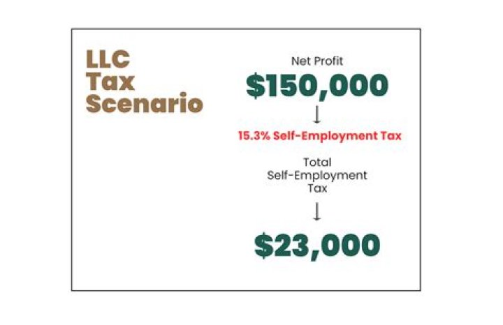Can an S corp be self employed?