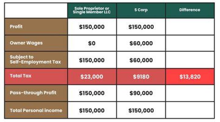 Can an S Corp owner not be an employee?