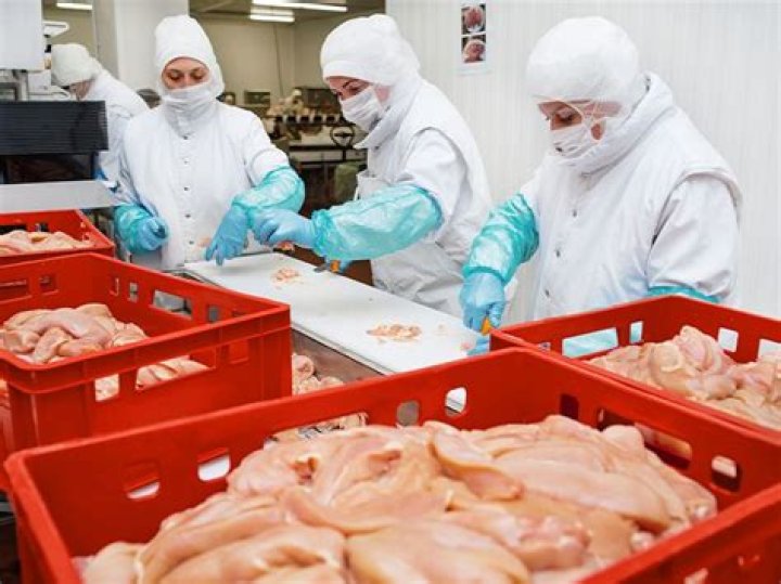 Can chicken be imported into Australia?