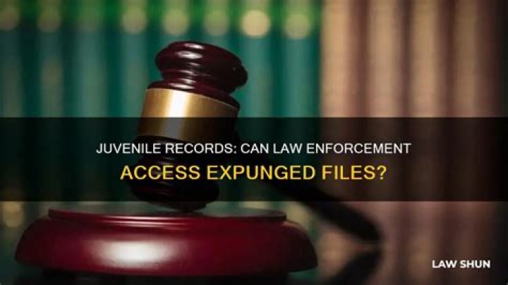 Can employers see juvenile records?