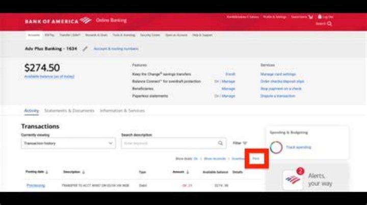 Can I download transactions from Bank of America?