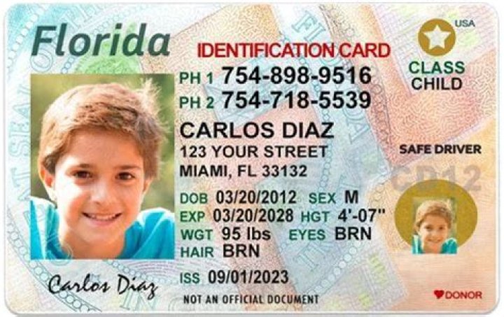 Can I order a Florida ID online?
