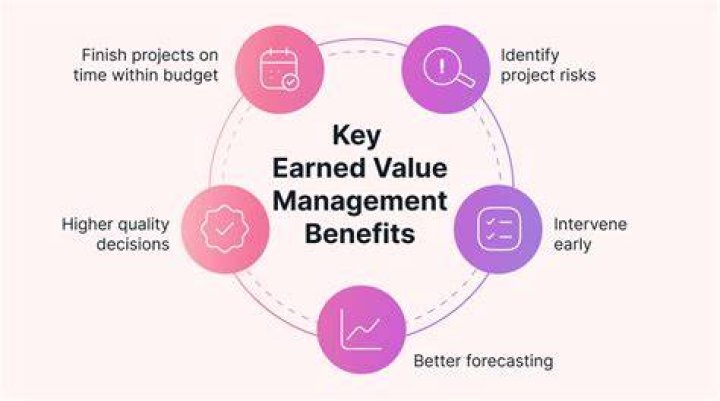 Can project portfolio management be used with Earned Value Management?