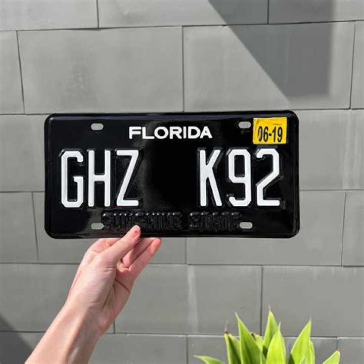 Can the police take your license plate in Florida?
