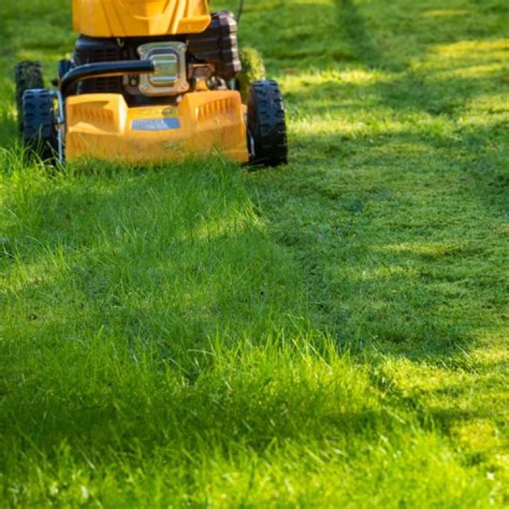 Can you cut grass any time?