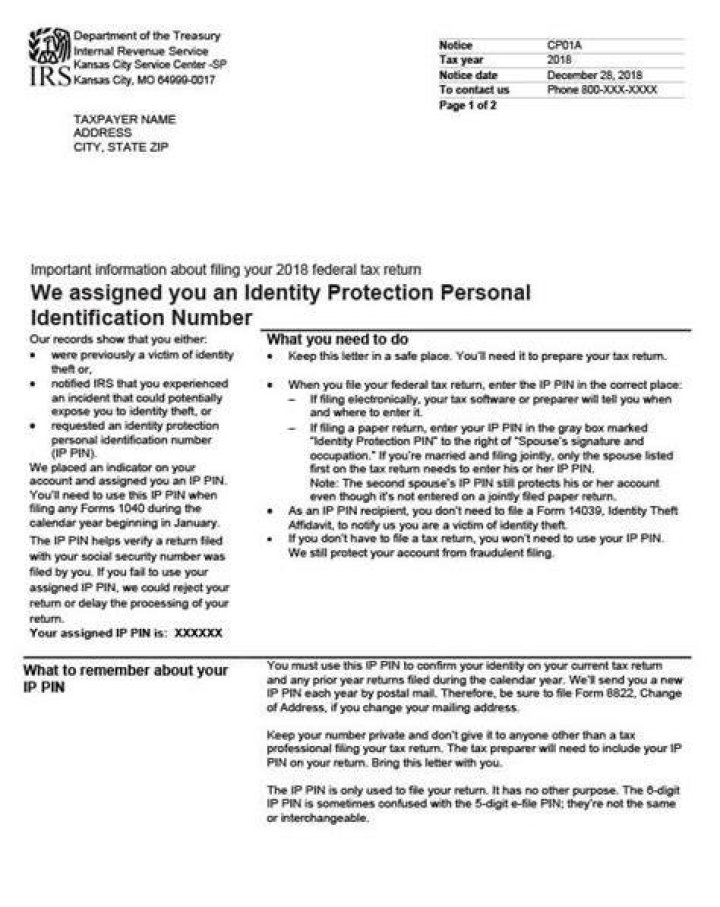 Can you get an PTIN without filing a tax return?