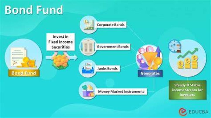 Can you lose money on a bond fund?