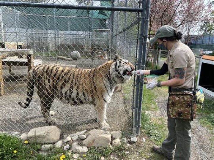 Can you make a living as a zoo keeper?
