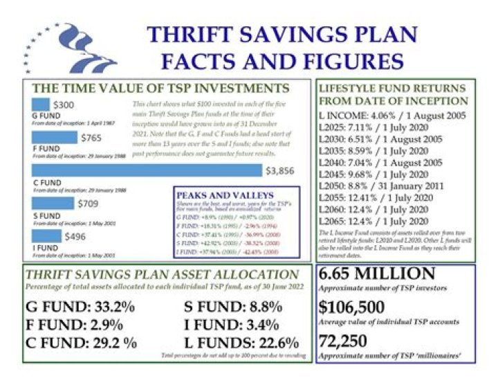 Can you pull money out of your Thrift Savings Plan?