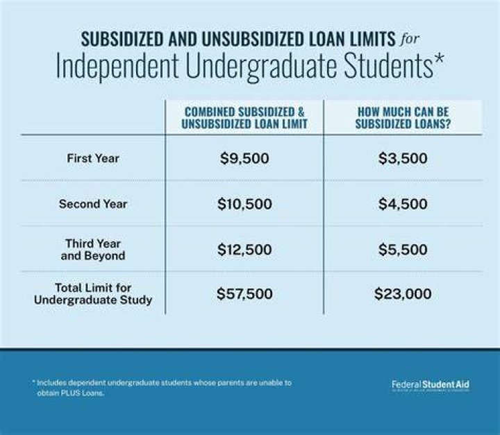 Can you return unsubsidized student loans?
