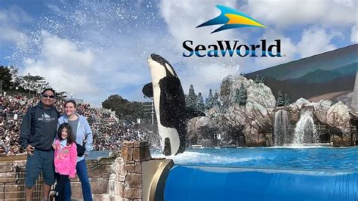 Can you work at SeaWorld at 16?