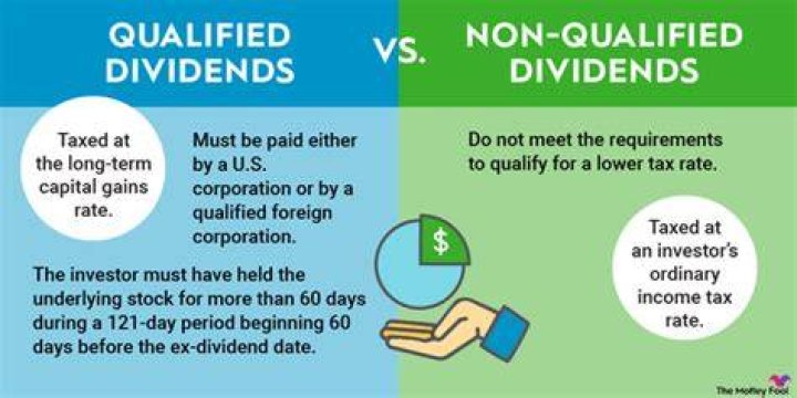 Do dividends count as profit?