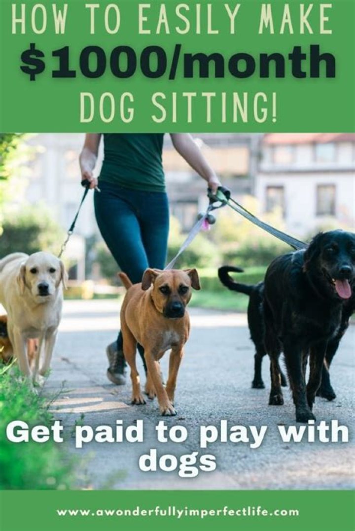Do dog sitters make good money?