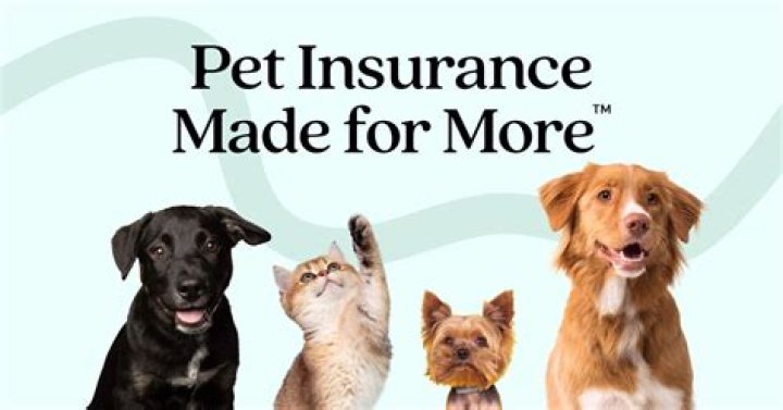 Do dogs have pet insurance?