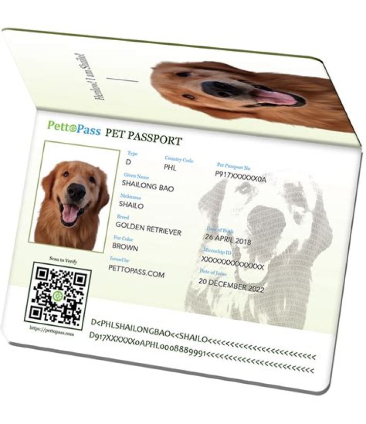 Do pet shops need a license?