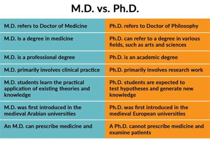 Do you call a PhD a Doctor or professor?