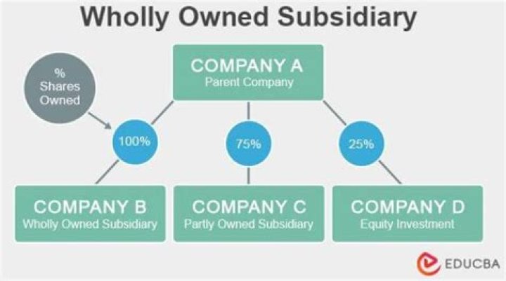 Does a wholly owned subsidiary need an EIN?