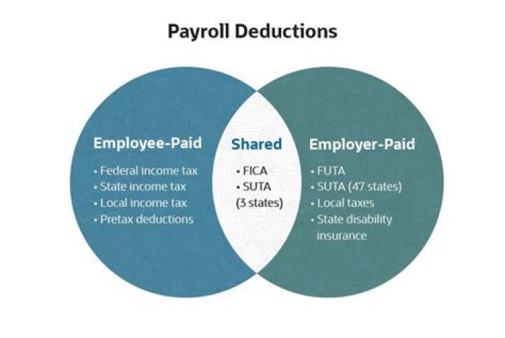 Does everyone pay payroll tax?