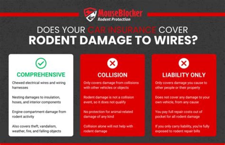 Does insurance cover mice damage?