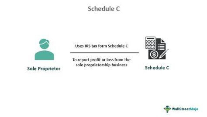 Does sole proprietor need Schedule C?
