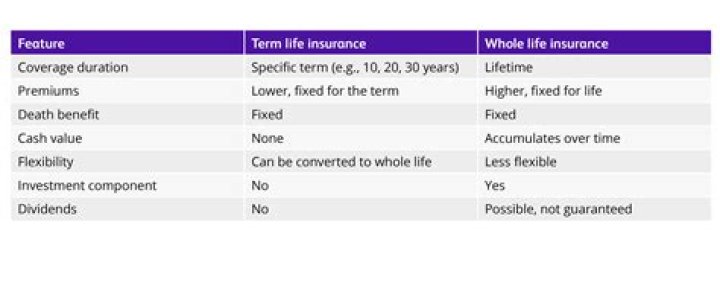 Does term life insurance payout full amount?