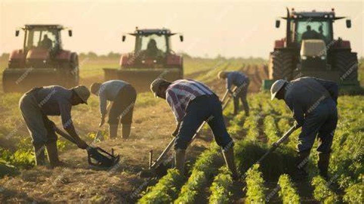 How are Labours provided in farming?