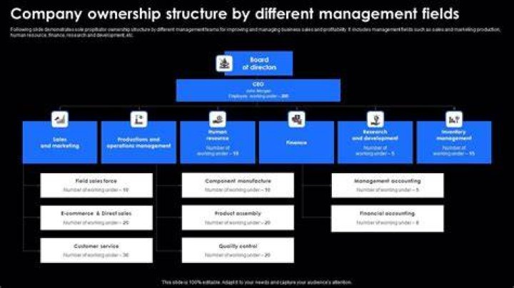 How businesses choose a management structure?