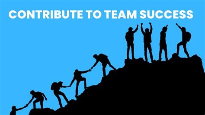How can you contribute to the team?