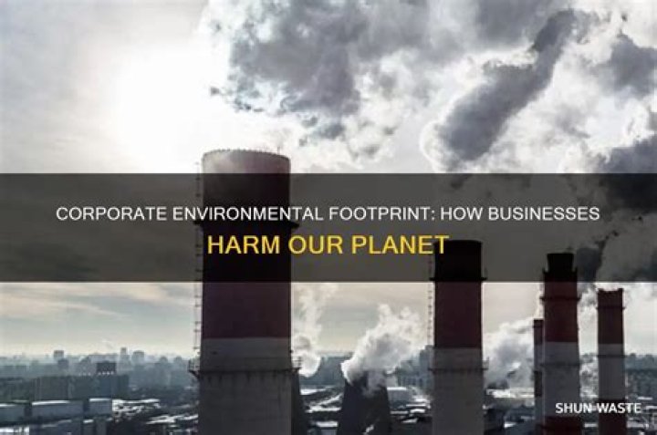How do businesses harm the environment?
