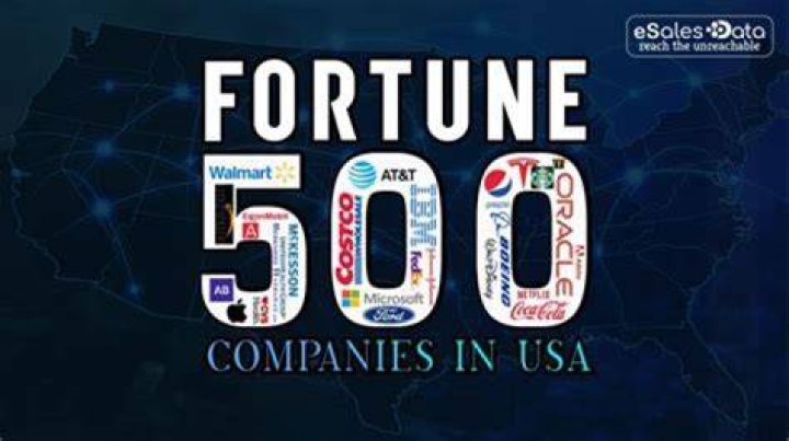 How do Fortune 500 companies avoid taxes?