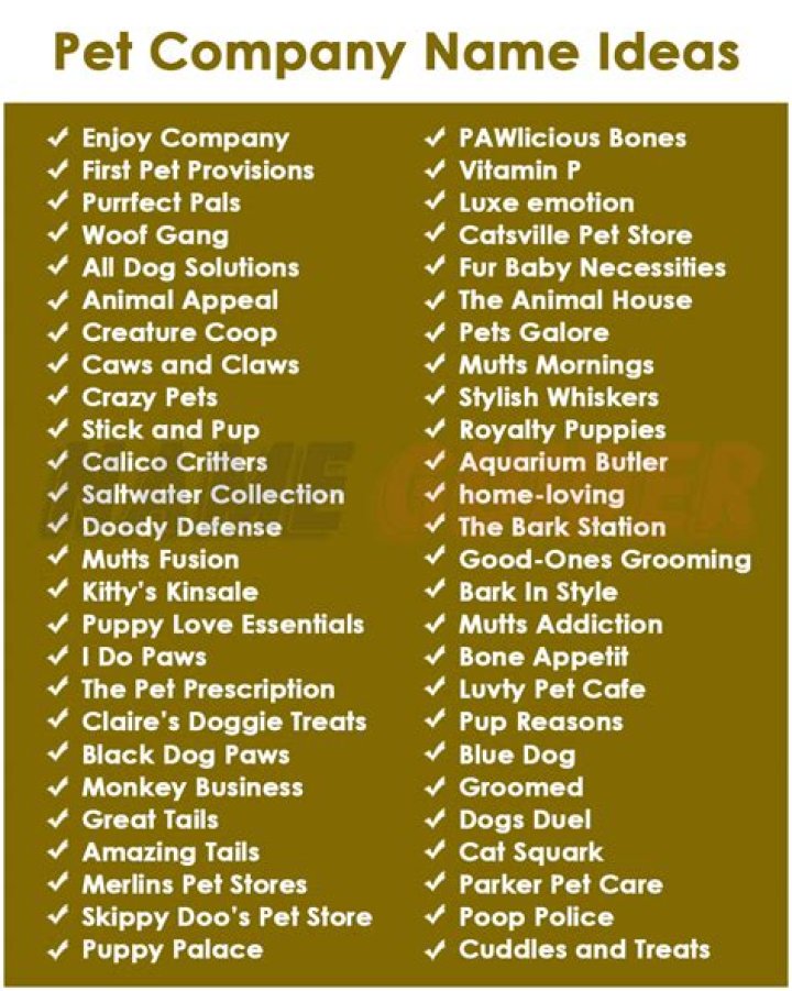 How do I name my pet business?