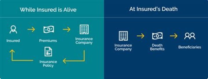 How do insurance companies work?