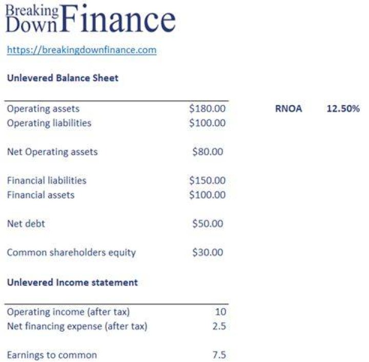 How do you calculate return on net operating assets?