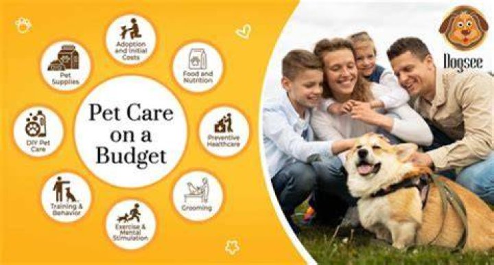 How do you care for a dying bumble bee?