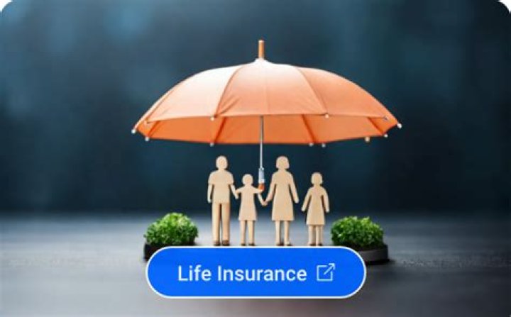 How do you evaluate a life insurance company?