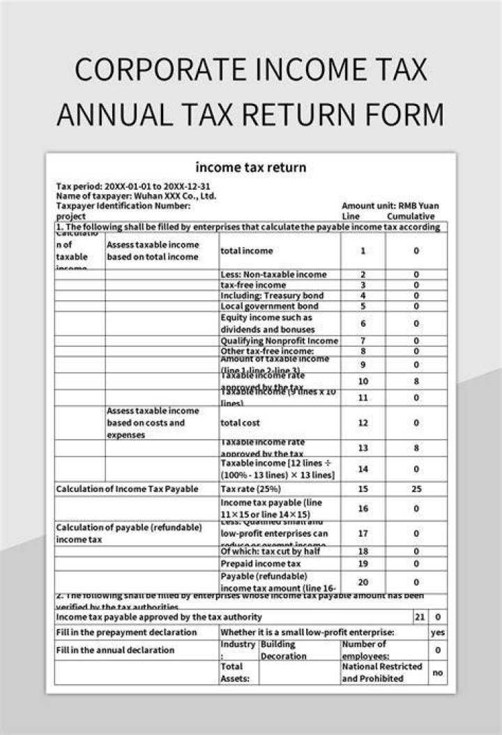 How do you show business income on tax return?