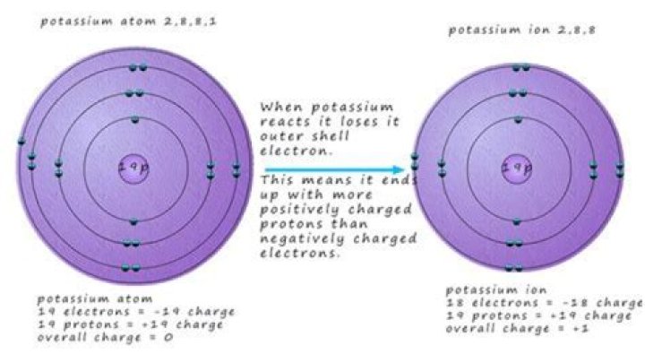 How do you tell if an element will lose or gain electrons?