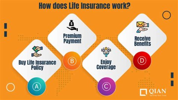 How does insurance work with hitting someone?