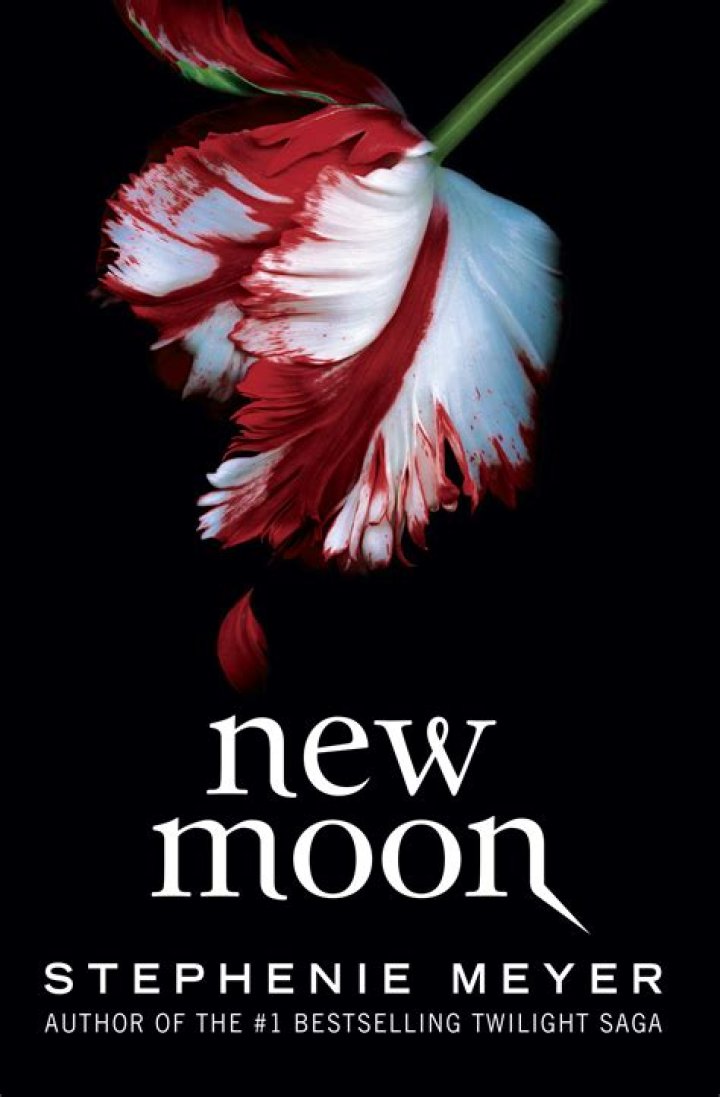 How does the book New Moon end?