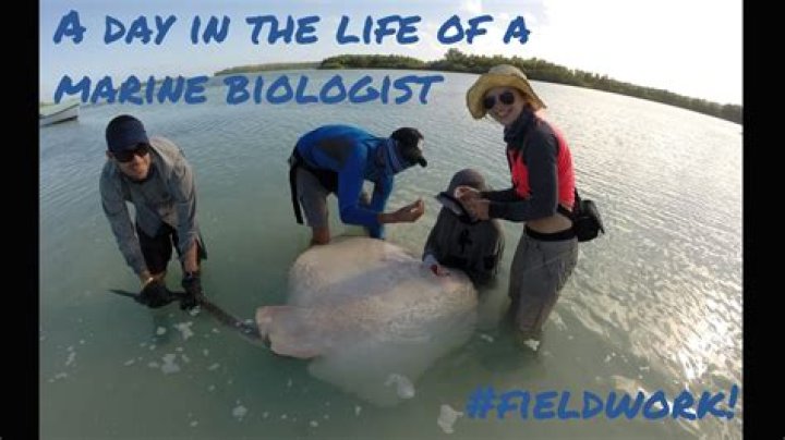 How long do marine biologists work a day?