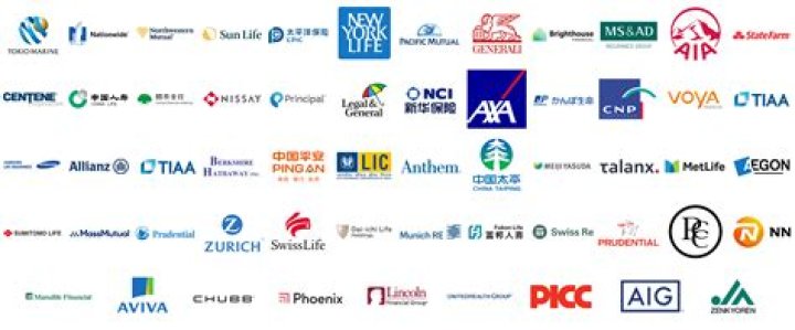 How many main insurance companies are there?