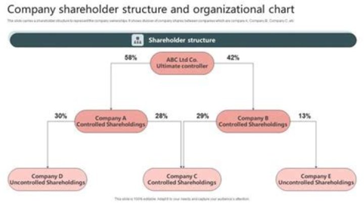 How many shareholders can a company have under Subchapter S?