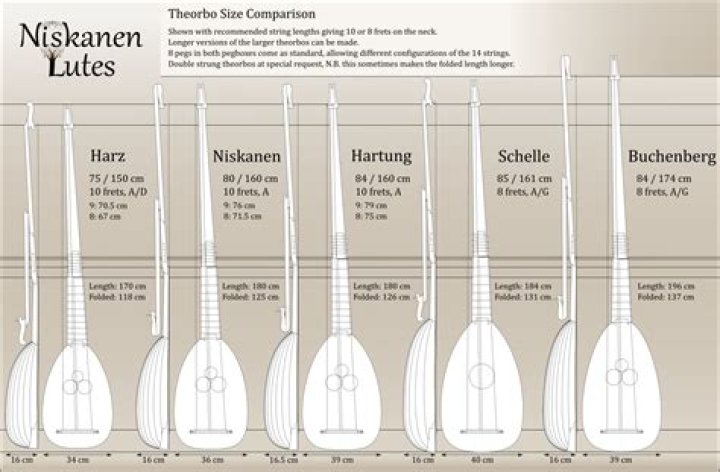 How many strings does a lute have?