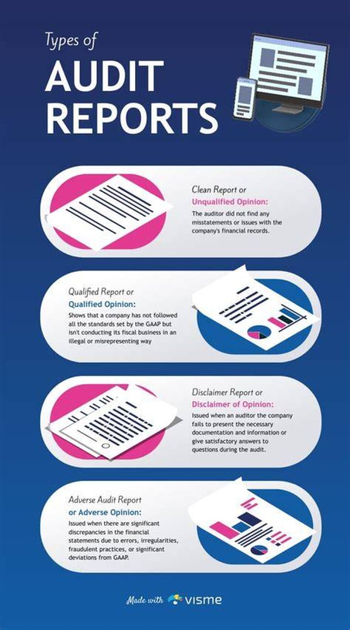 How many types of audit report are there?