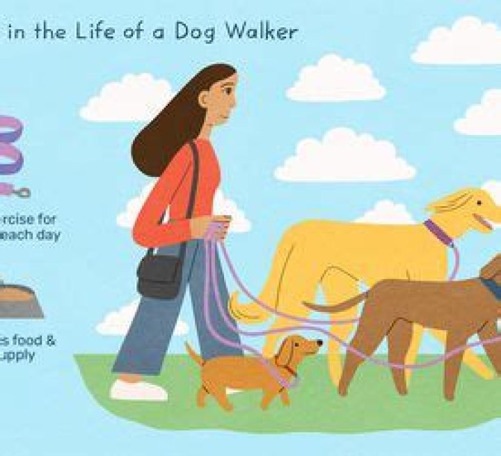 How much do dog sitters charge per day?