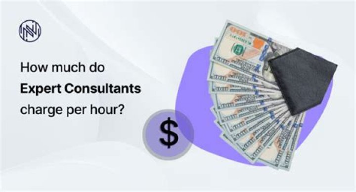 How much do environmental consultants charge?